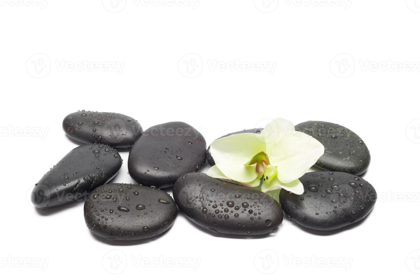 Spa stones and orchid flowers, isolated on white. photo