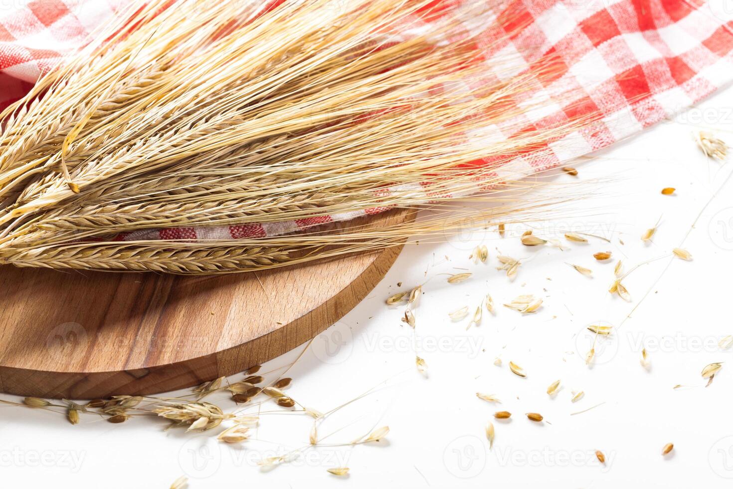 wheat ears isolated on white background photo