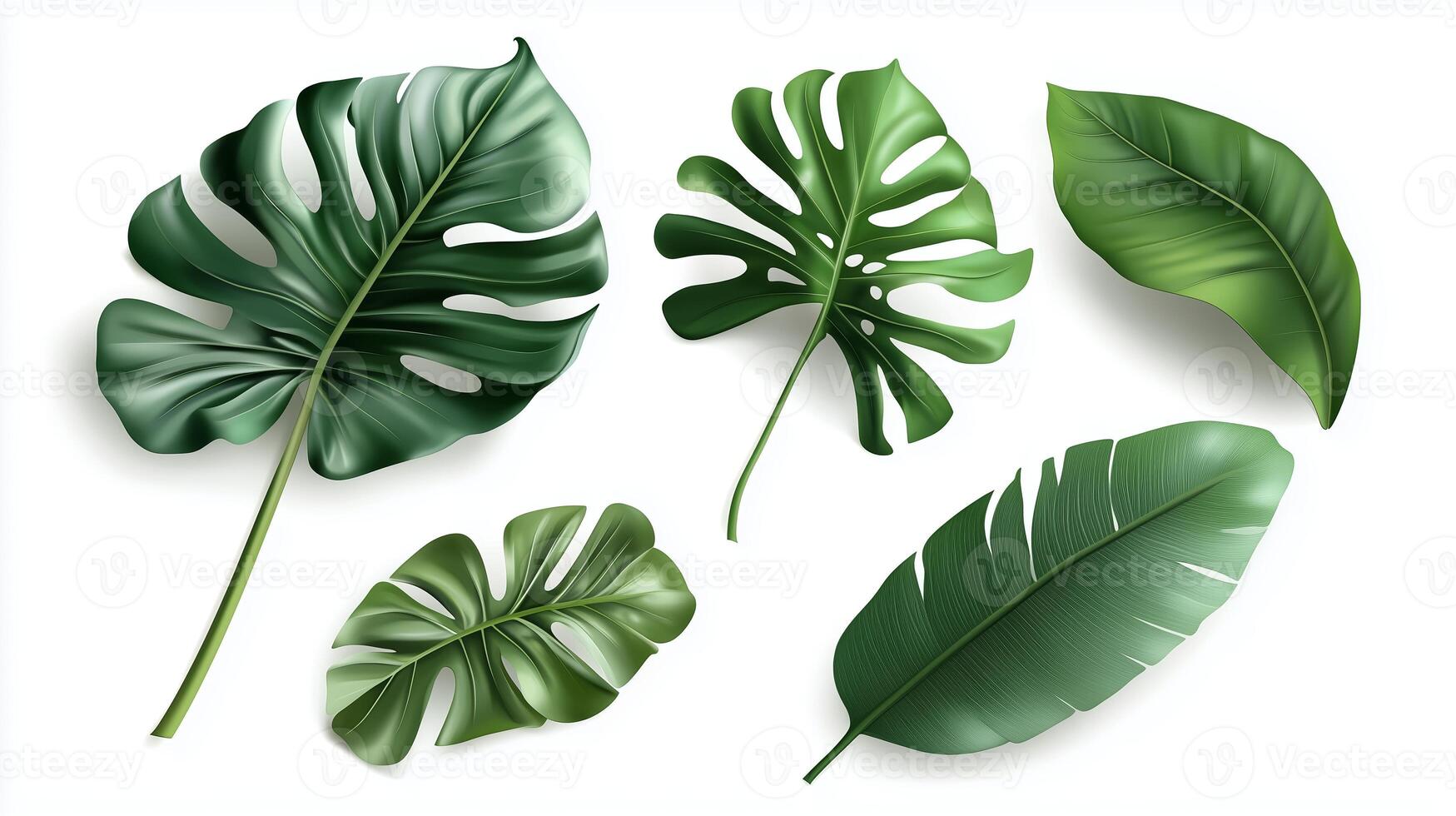 Various tropical green leaves arranged artistically, showcasing their unique shapes and textures on a clean surface photo