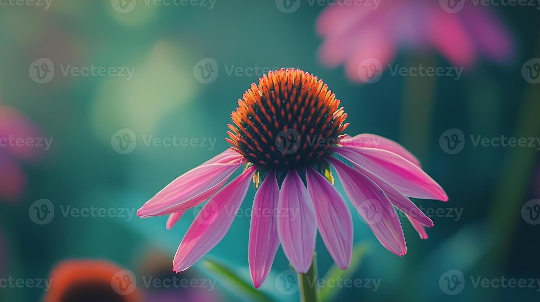 A vibrant pink flower with a fuzzy center blooms in a lush garden under soft natural light during the late afternoon photo
