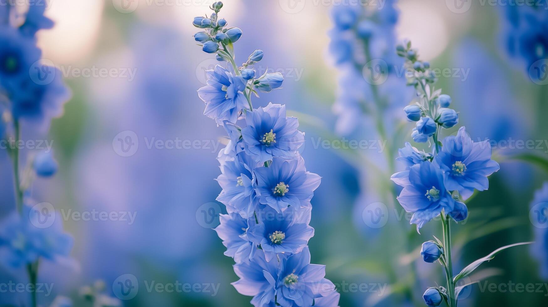 Beautiful blue delphinium flowers blooming in a lush garden during springtime, capturing the essence of nature's vibrant palette photo