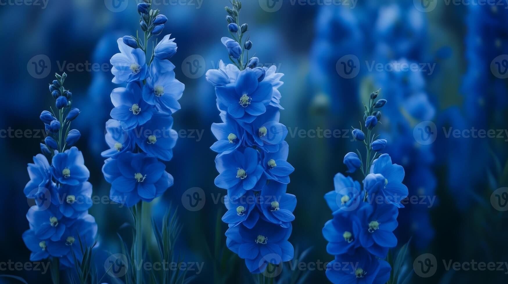 Vibrant blue flowers thriving in a lush garden during late spring, showcasing nature's beauty and diversity photo