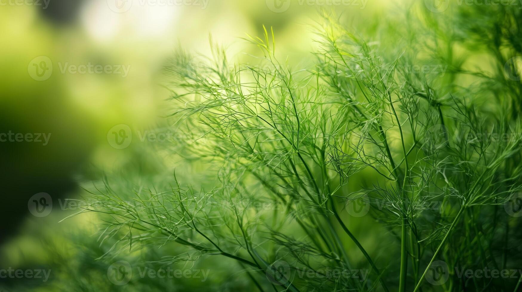 Lush green foliage in a serene outdoor setting showcases delicate plant life thriving under natural light photo