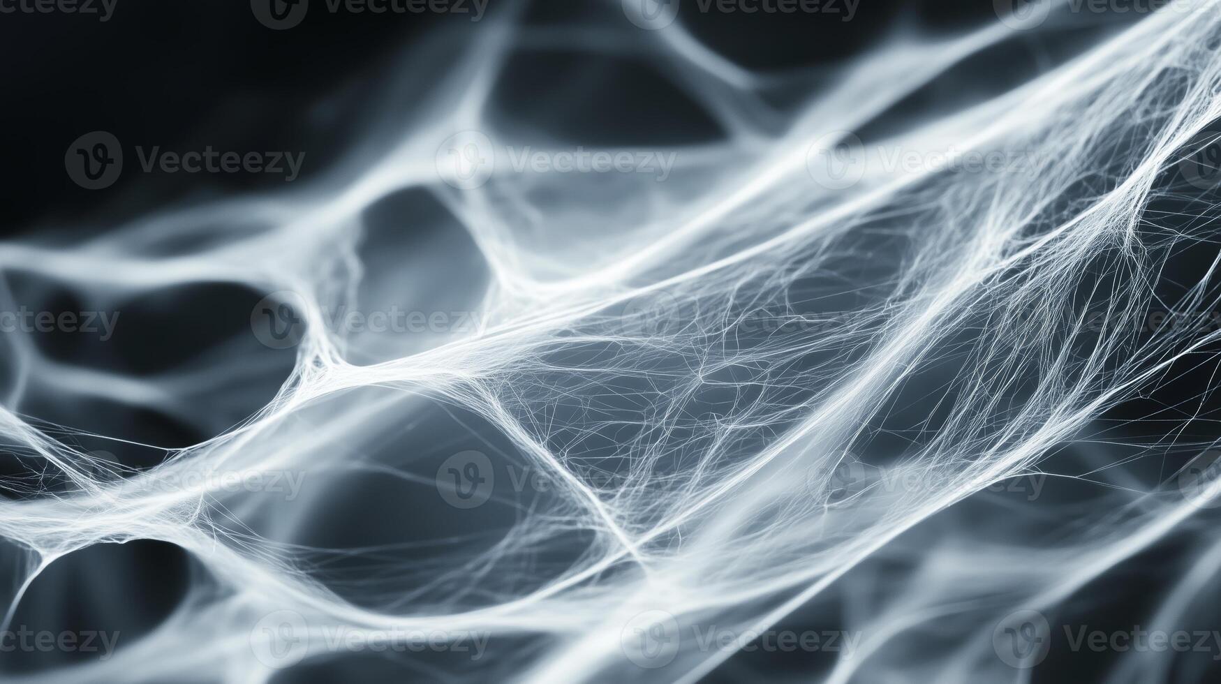 Delicate strands of a spider web glistening with morning dew, illuminated in soft light against a dark background photo