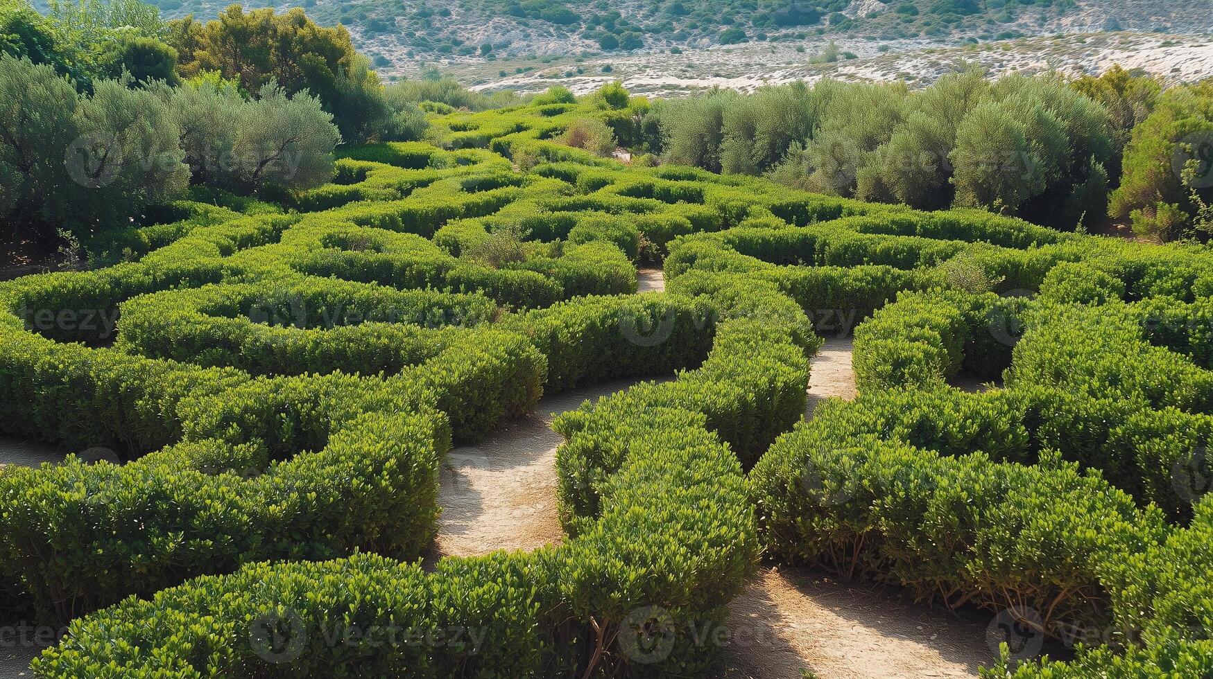 Exploring a winding maze of lush greenery in a scenic outdoor park during a sunny afternoon photo