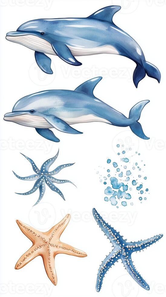 Two playful dolphins swimming alongside starfish and a vibrant starfish collection in a marine theme design photo