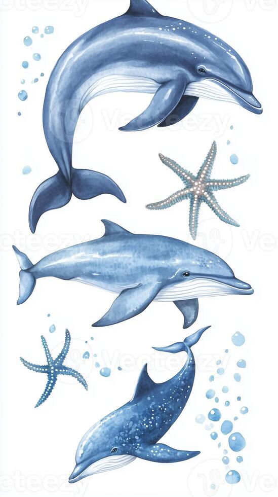 Whales and starfish swimming together in an ocean-themed illustration featuring serene marine life in calming blue tones photo