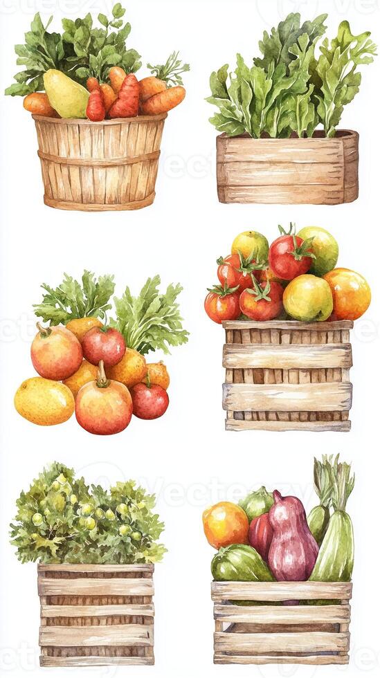 Freshly harvested vegetables and fruits displayed in wooden baskets on a white background showcasing vibrant colors and natural textures photo