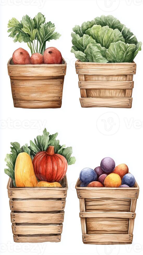Freshly harvested vegetables and fruits in rustic wooden baskets showcasing a bountiful seasonal collection photo