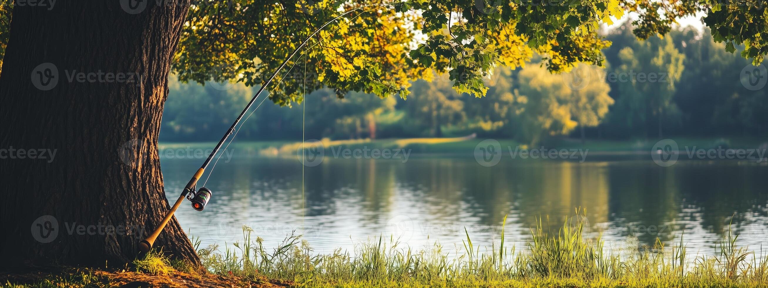 A peaceful lakeside setting with fishing rod resting against a tree on a sunny afternoon in summer photo