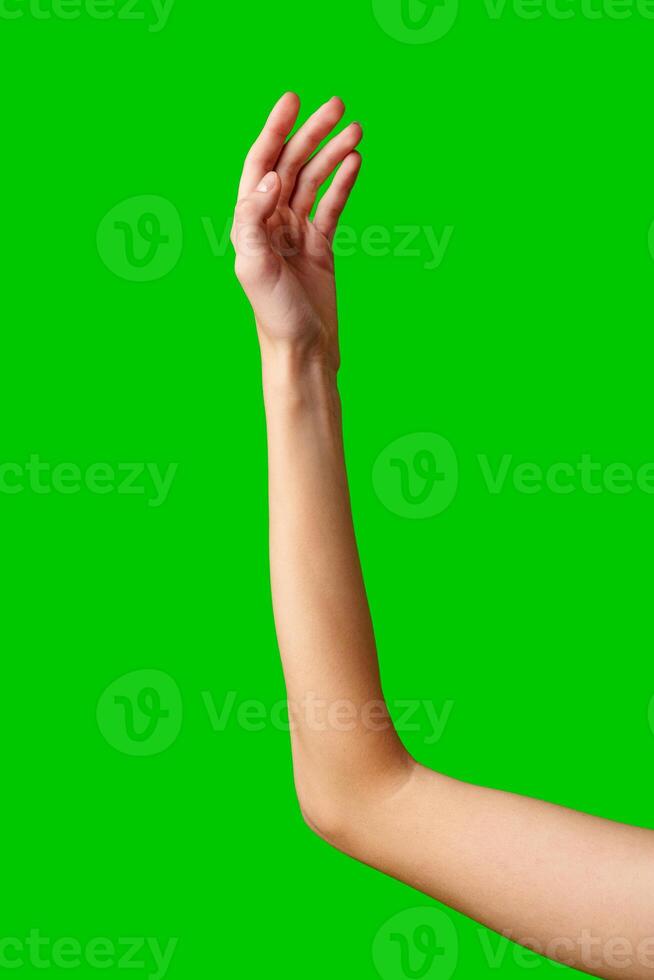 Hand Reaching Up on Green Background photo