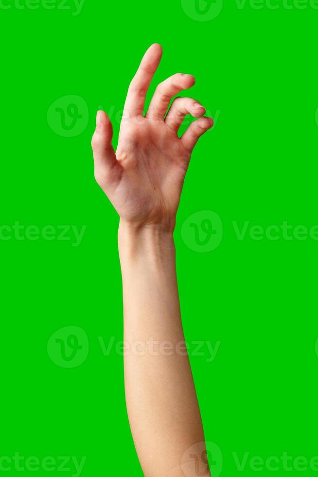 Hand Reaching Up on Green Background photo