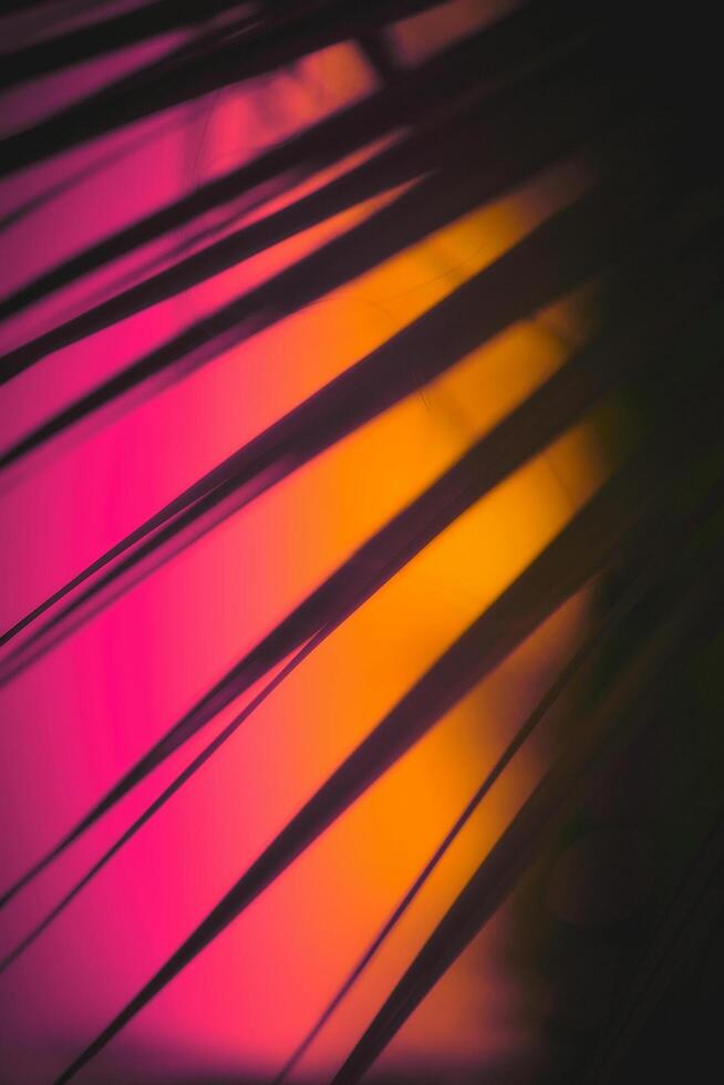 The Power of Vibrant Bright Colors photo