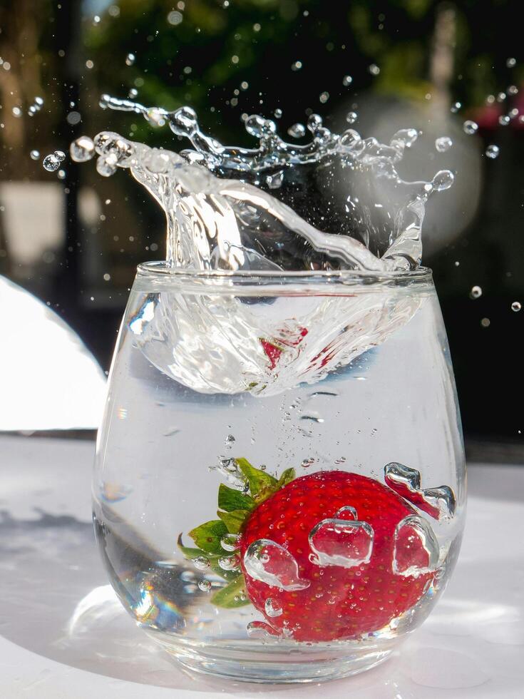 A collection of icy refreshments and frosted bliss, offering crystal cool drinks served on the rocks for the ultimate refreshing experience photo
