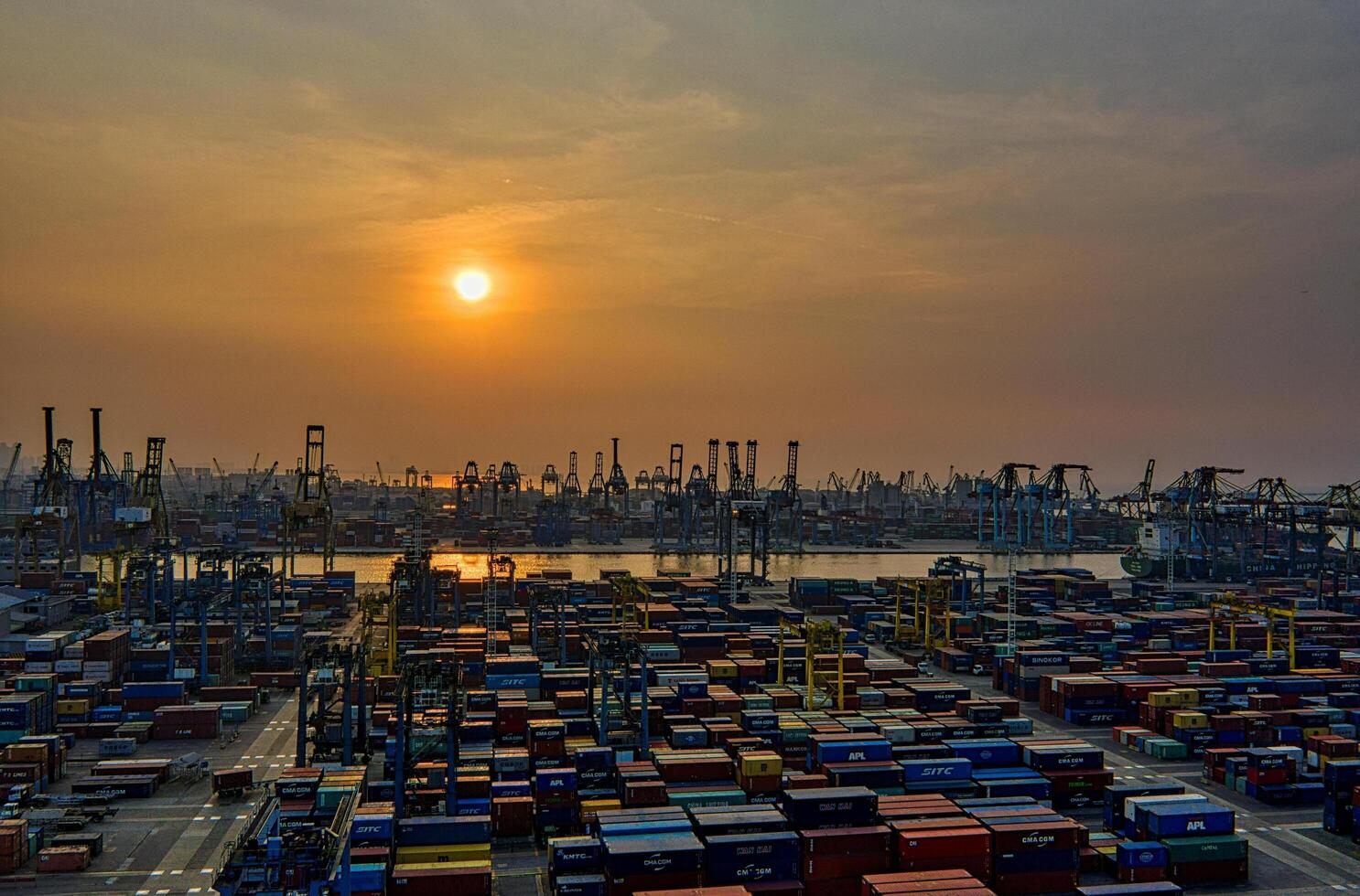 Architects of the Urban Jungle Urban Landscapes photo