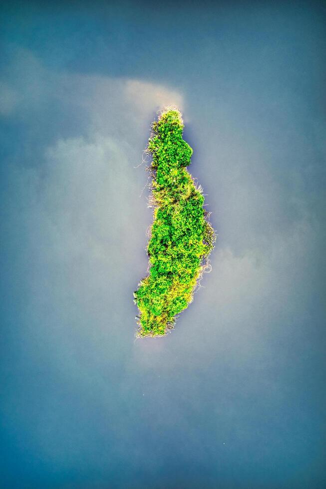 Architects of the Urban Jungle Urban Landscapes photo