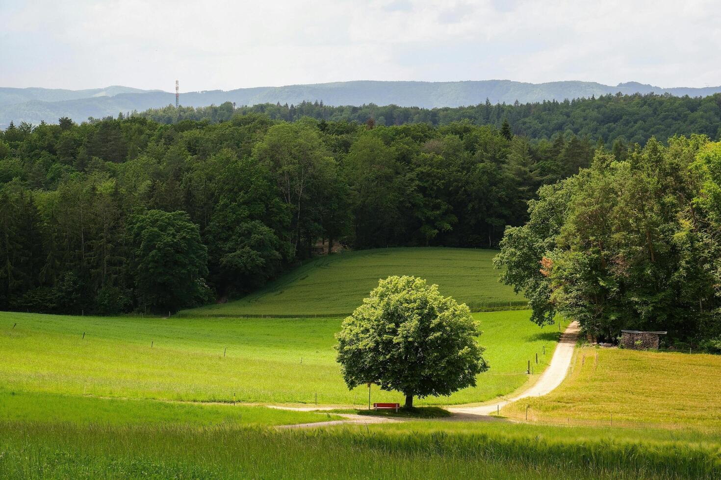 Serenity of Nature Wallpaper Collection photo