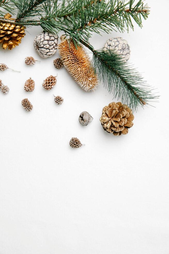 Festive Christmas Wonderland Background photo