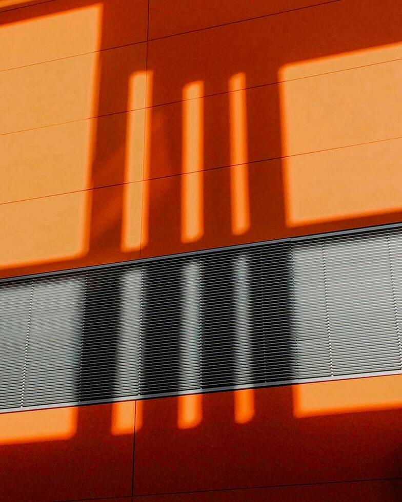 The Power of Vibrant Bright Colors photo