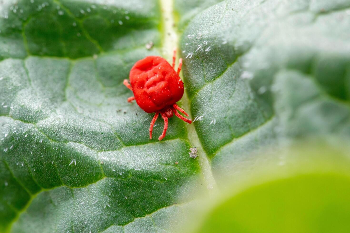 A unique beauty of nature and wildlife photo