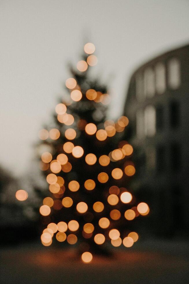 Festive Christmas Wonderland Background photo