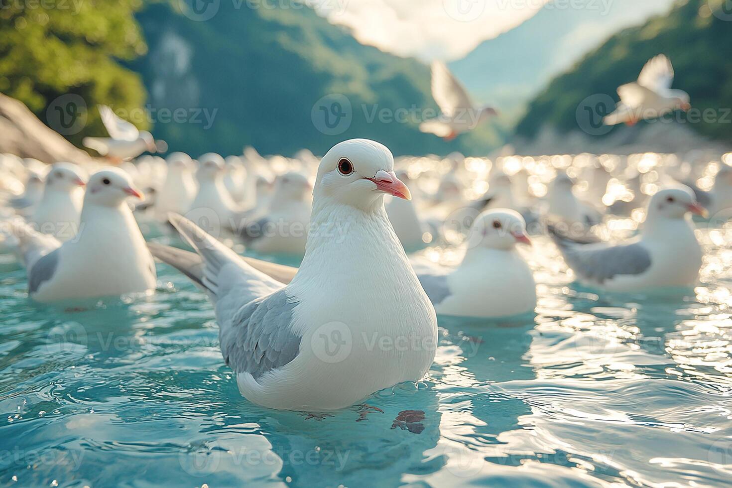 Dove group is swearing water in the beautiful background photo