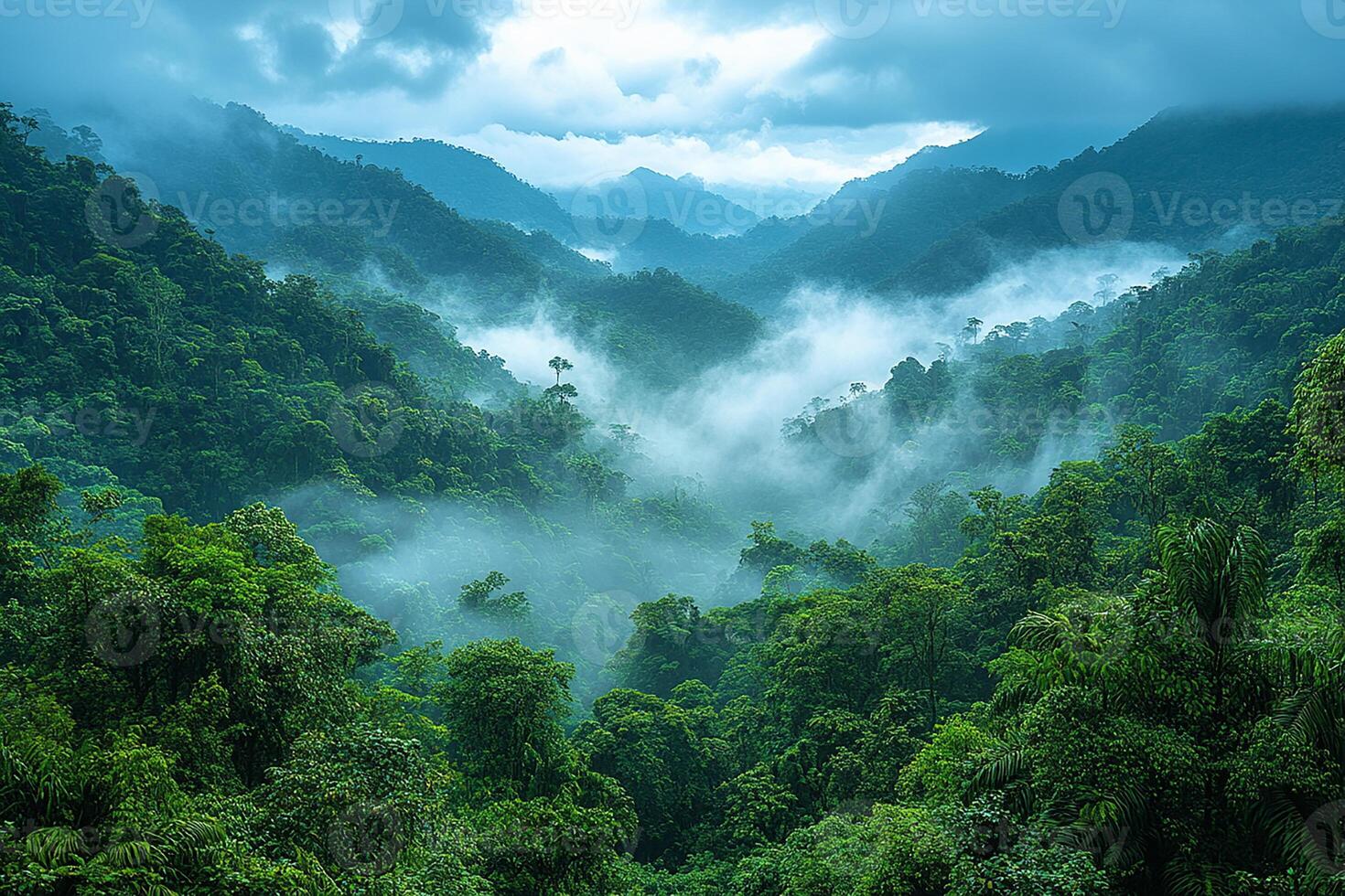 Amazon Rainforest Brazil Peru top view realistic photo