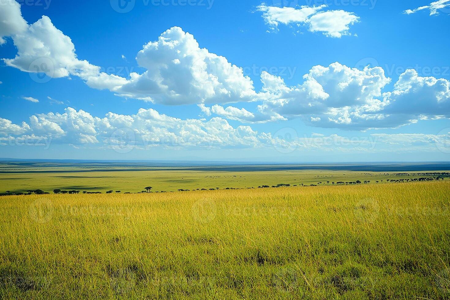 Maasai Mara Kenya is the beautiful tourist place beautiful background photo
