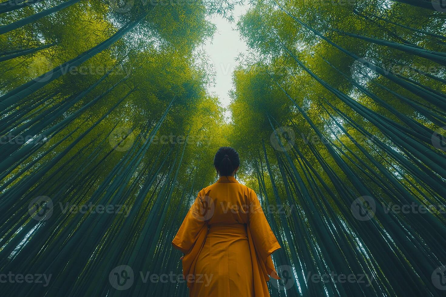 Kyotos Arashiyama Bamboo Grove Japan top view realisti place beautiful background photo