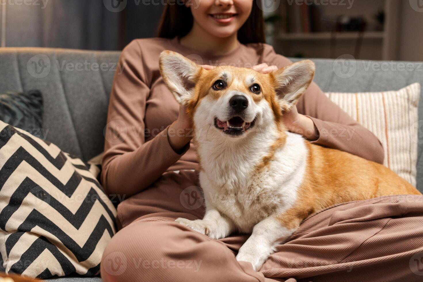 Happy corgi dog relaxing on sofa with smiling female owner at home photo