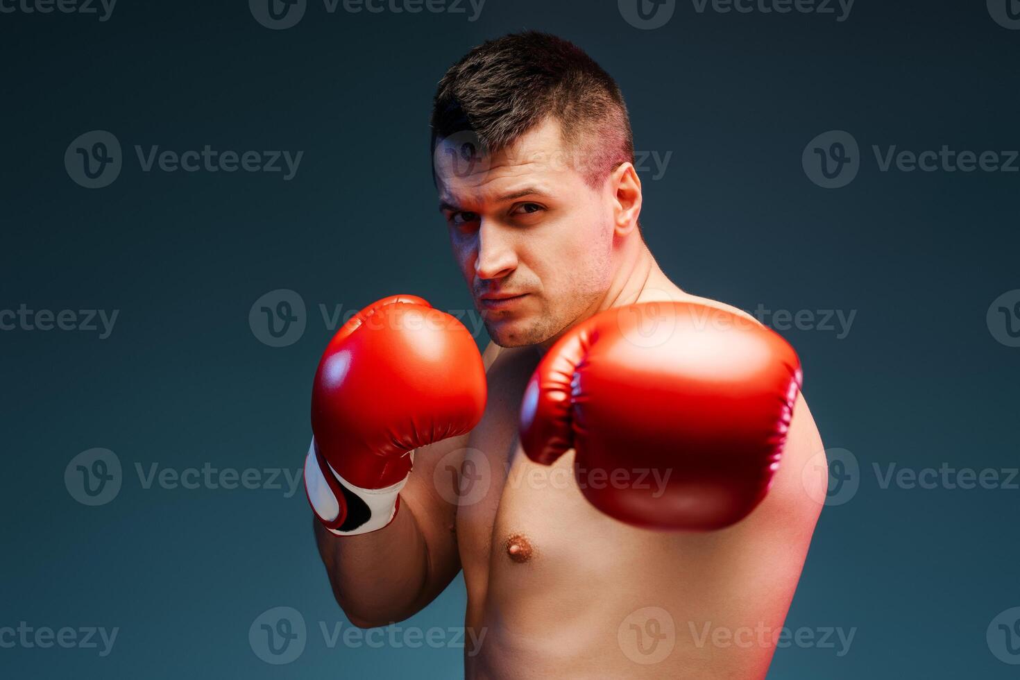Serious male boxer wearing red boxing gloves posing on blue background photo