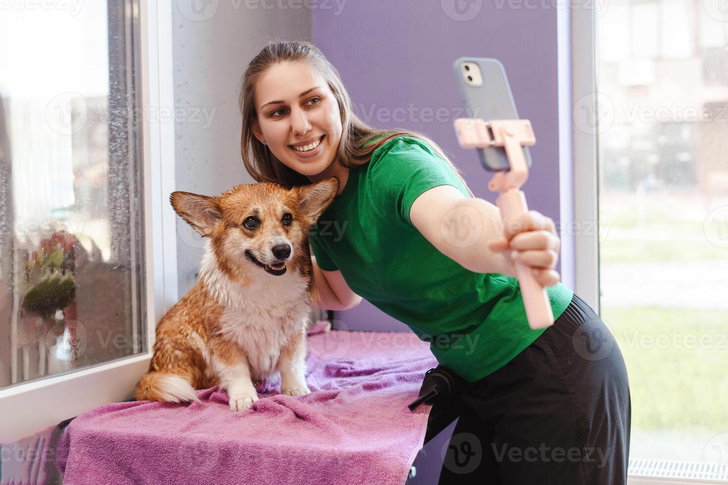 Cheerful woman holding smartphone on tripod and making selfie with wet corgi dog photo