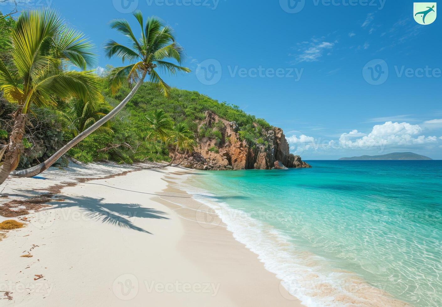 A secluded cove with powdery white sand and gently swaying palm trees photo
