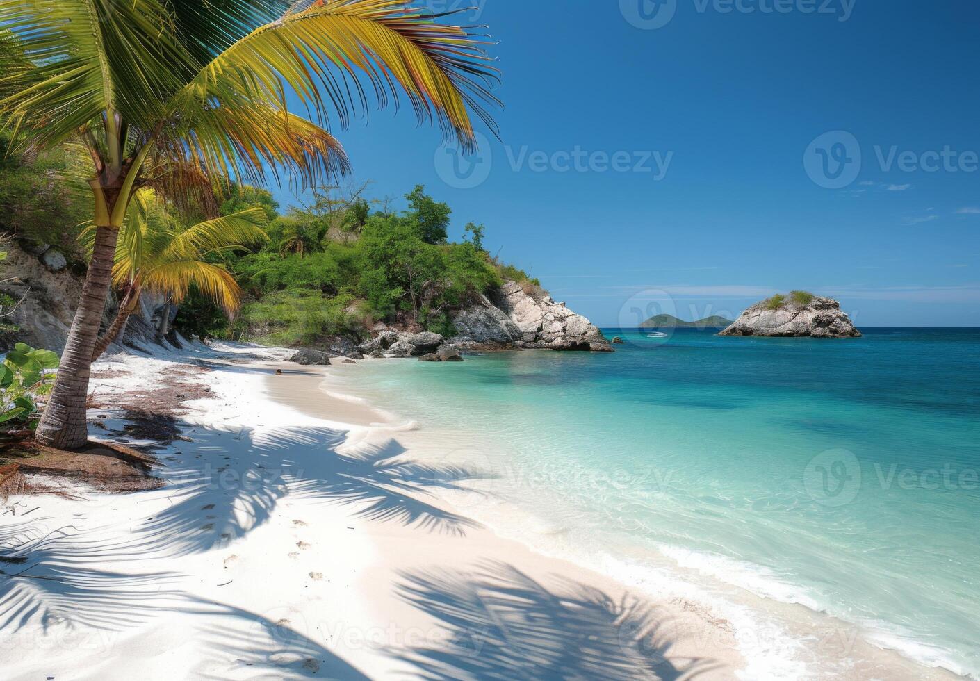 A secluded cove with powdery white sand and gently swaying palm trees photo