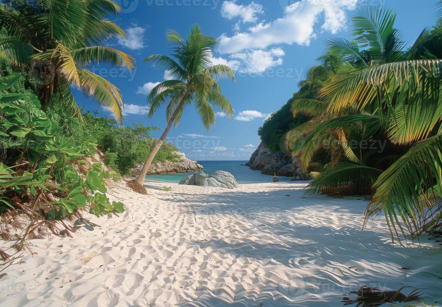 A secluded cove with powdery white sand and gently swaying palm trees photo