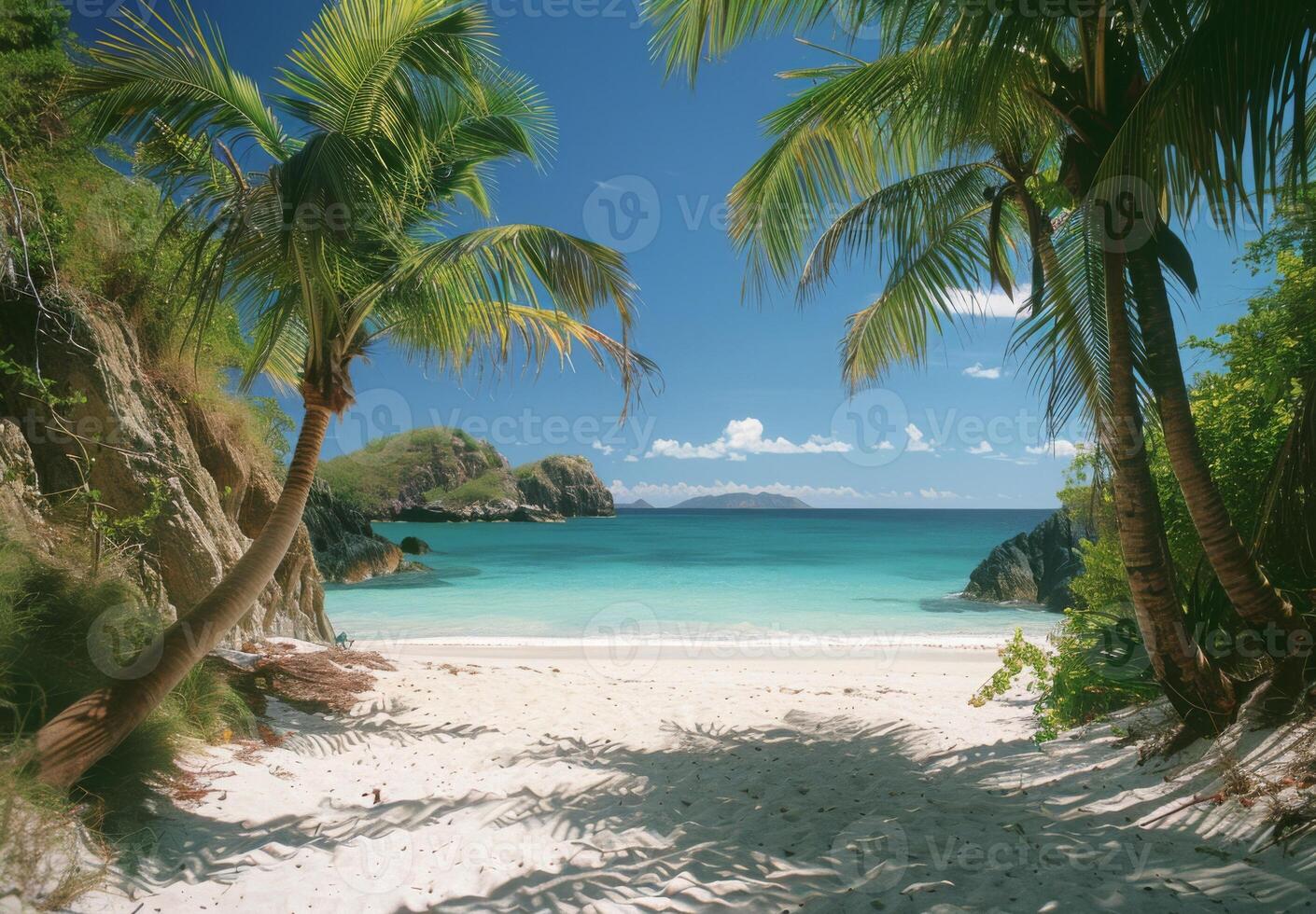 A secluded cove with powdery white sand and gently swaying palm trees photo