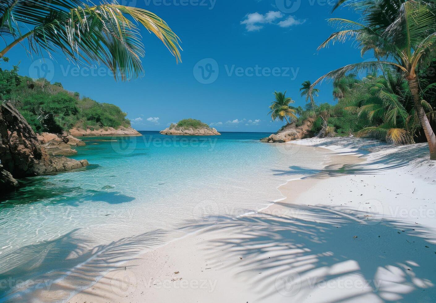 A secluded cove with powdery white sand and gently swaying palm trees photo