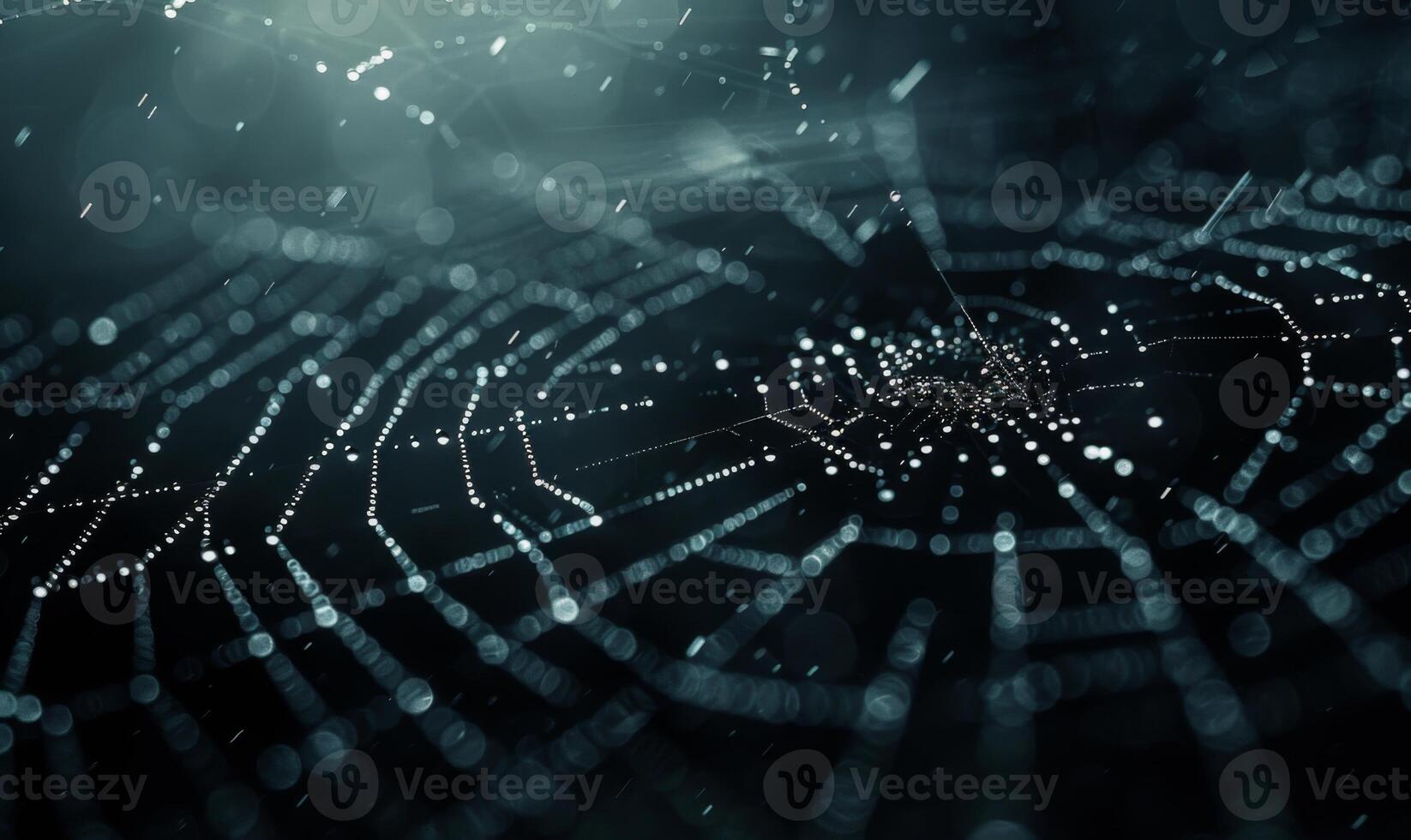A spooky spider web glistening with dew drops, with a menacing spider in the corner, leaving space on the right for copy photo