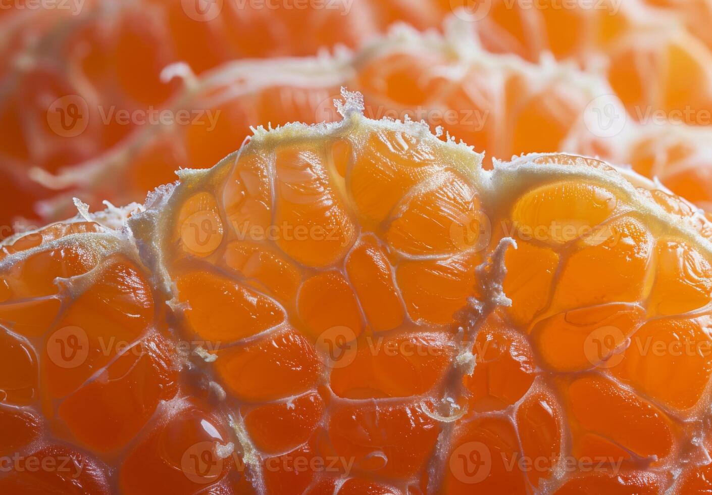 Zoomed-in view of the fibrous texture of a peeled orange photo