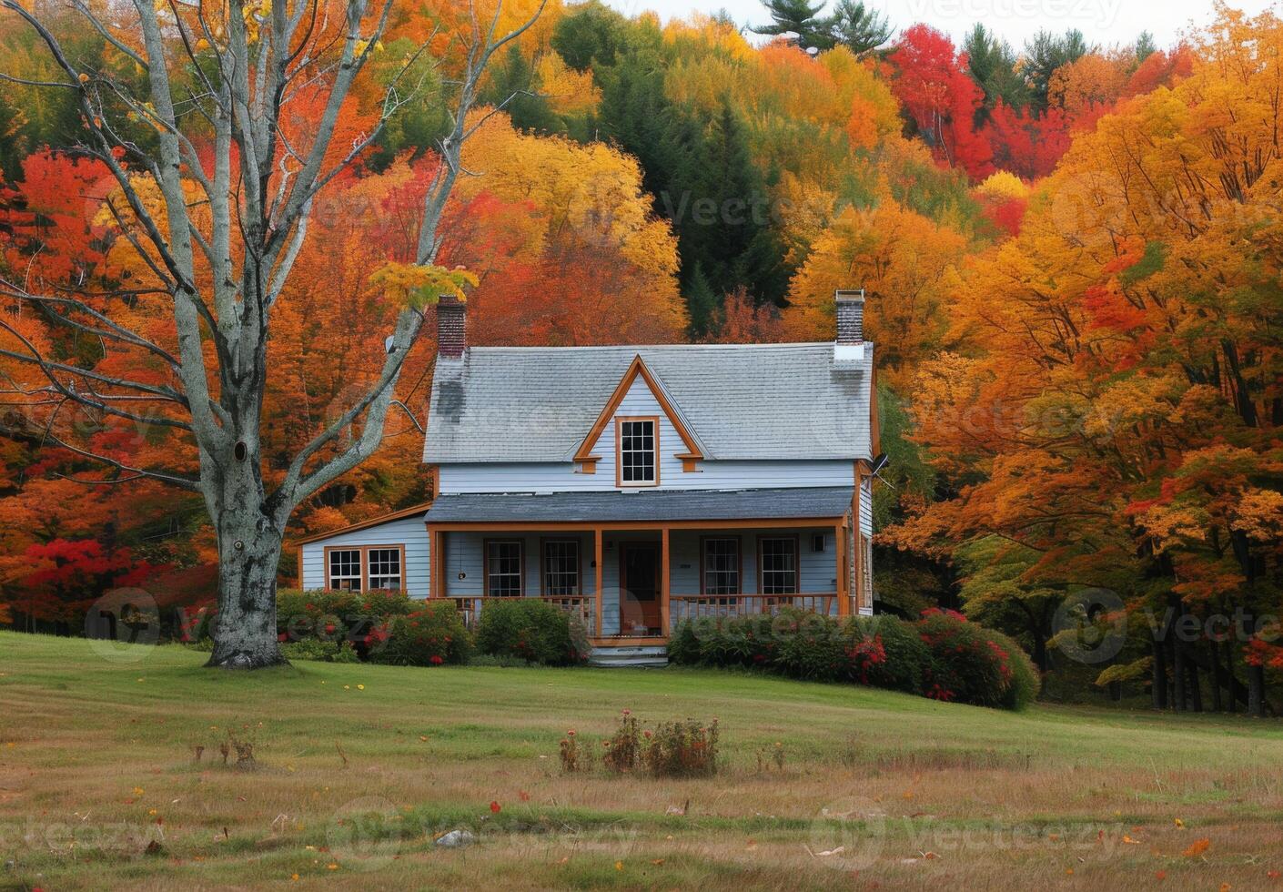 A house with a porch in the fall photo