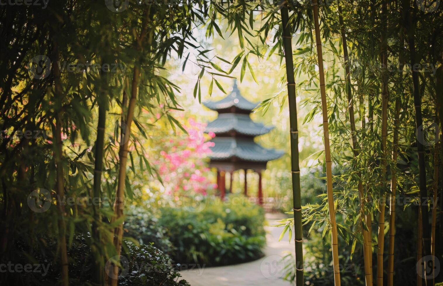 A path through a bamboo forest photo