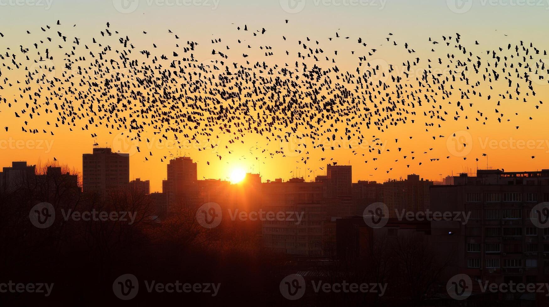 A massive flock of birds migrating over an urban skyline, silhouetted against the setting sun photo