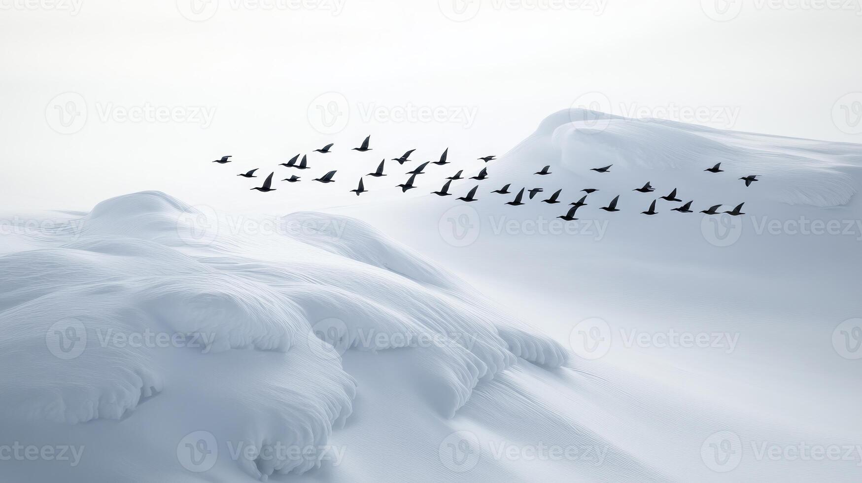 Birds in migration passing over a snowy tundra, their black shapes contrasting with the white landscape photo