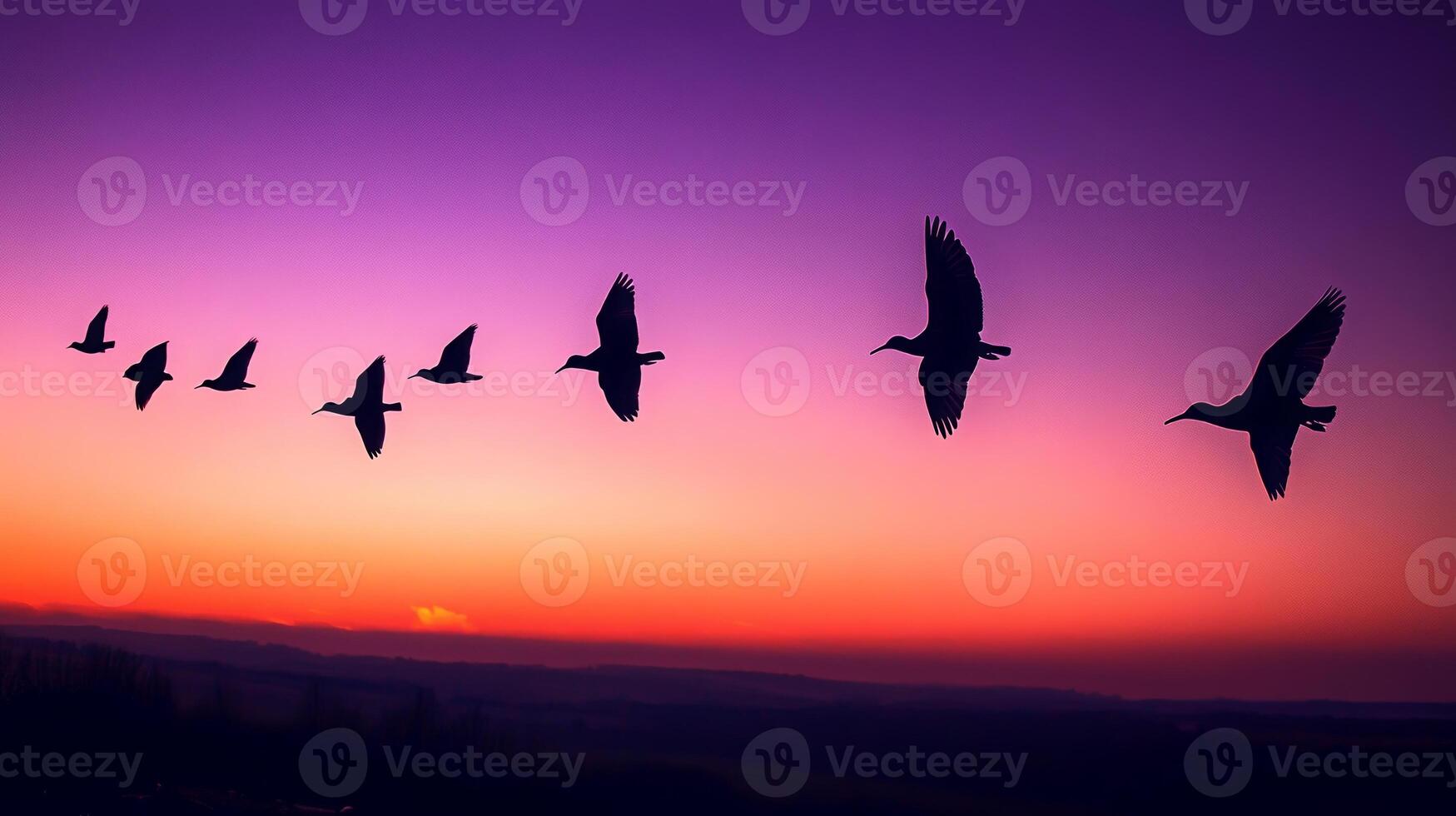 Silhouettes of migrating birds flying across a twilight sky, with shades of purple and orange in the background photo
