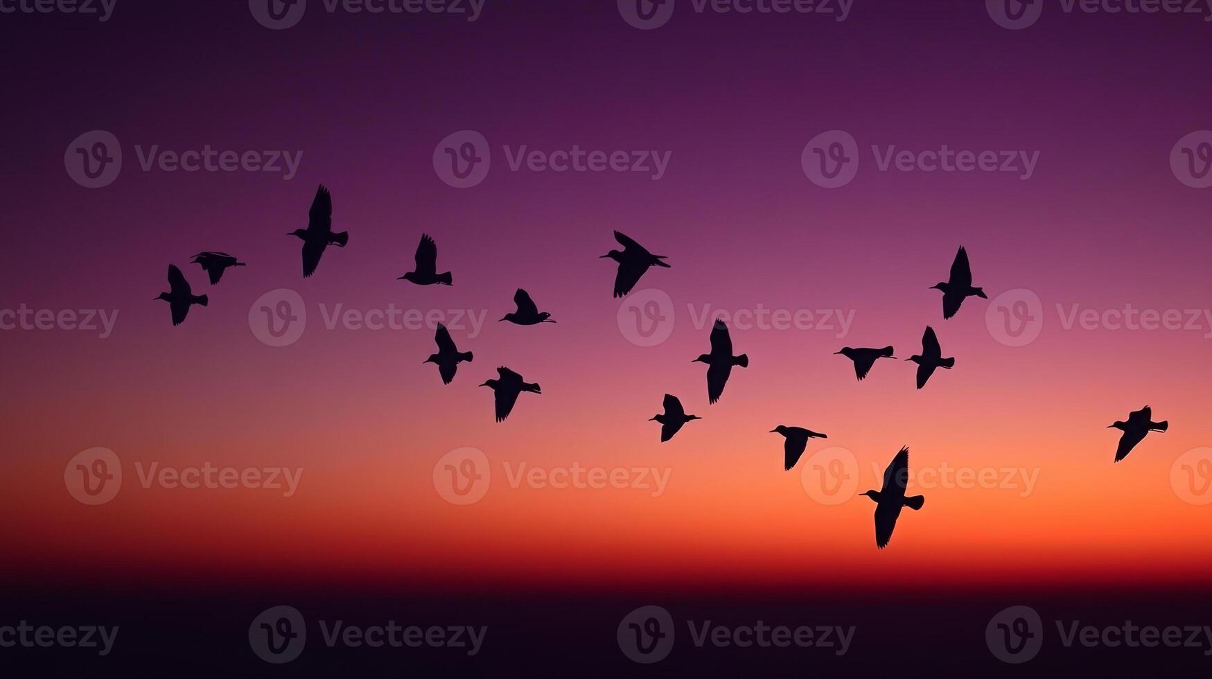Silhouettes of migrating birds flying across a twilight sky, with shades of purple and orange in the background photo