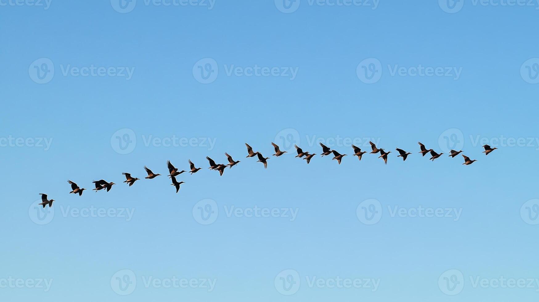 A flock of birds flying in a perfect V formation across a clear blue sky during migration photo