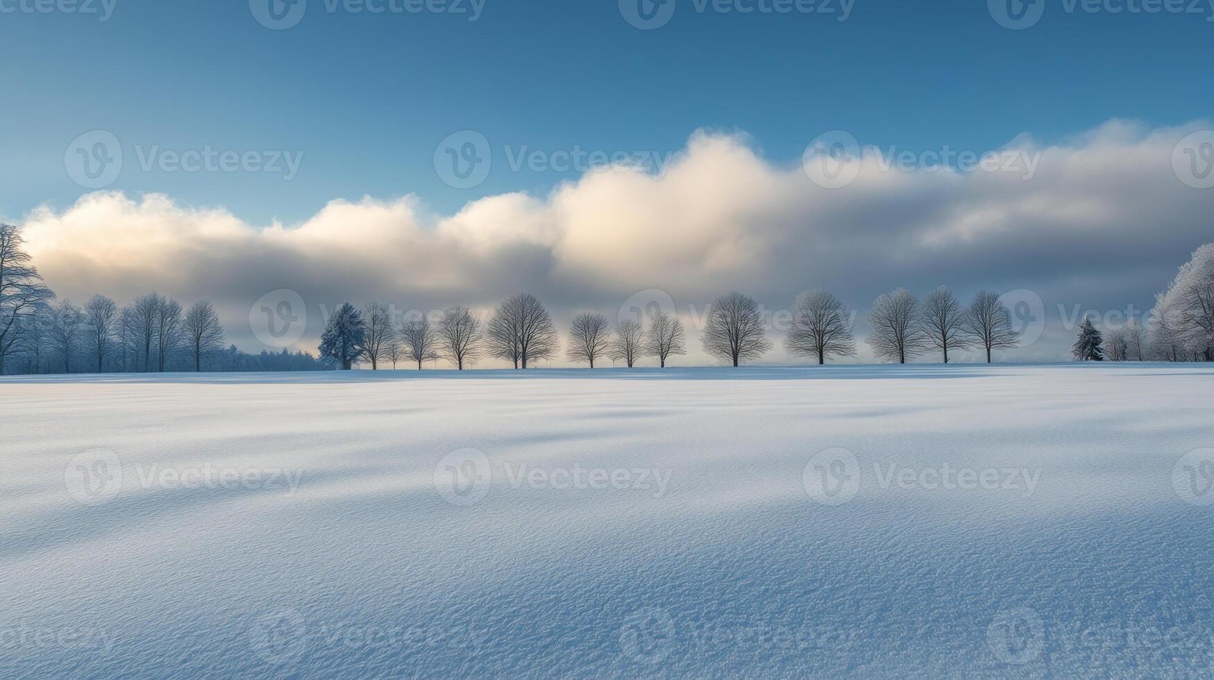 A quiet, snow-covered field with a distant line of trees and soft clouds rolling across the sky photo