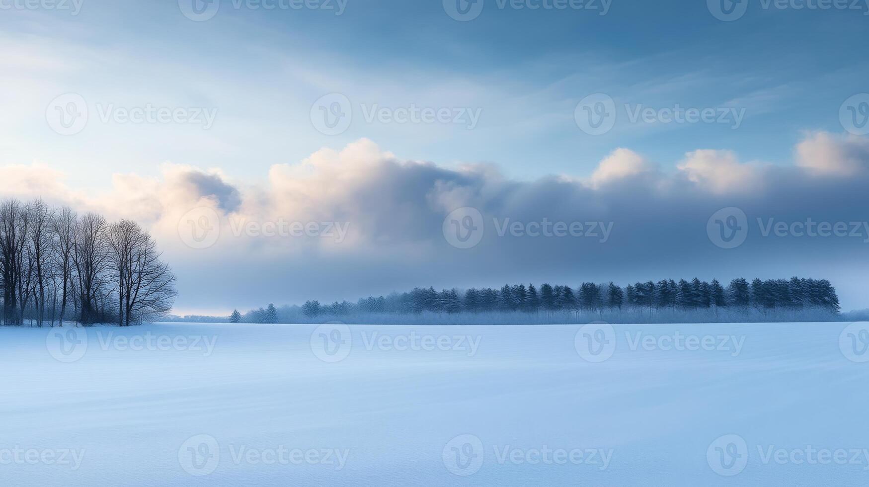 A quiet, snow-covered field with a distant line of trees and soft clouds rolling across the sky photo