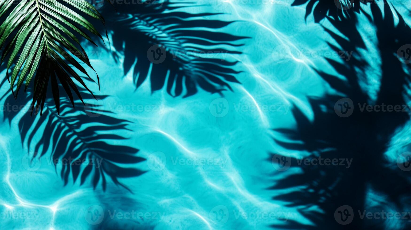 A tranquil water surface with tropical leaves casting dark shadows over bright aqua waves on a blue background photo