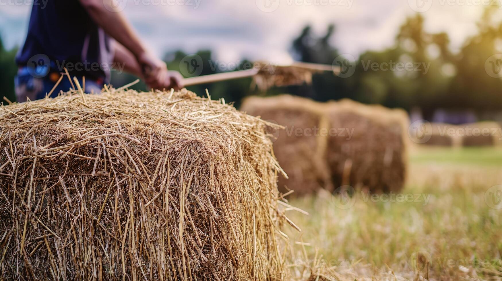 A bale of hay in the foreground, with a blurred farmer using a pitchfork to stack more hay in the background, capturing the essence of farm work photo